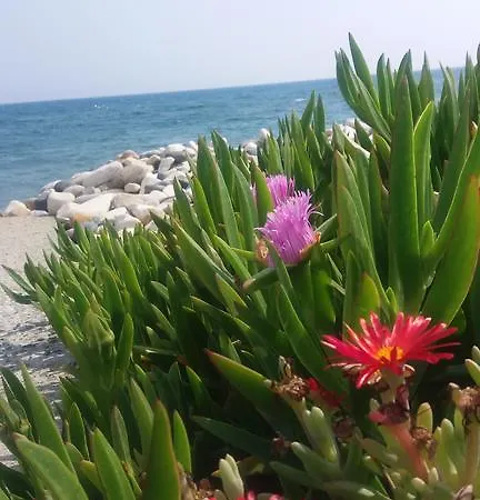 Apartment Garden Art *