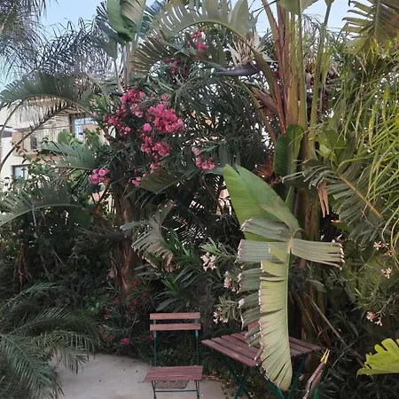 Garden Art Appartement