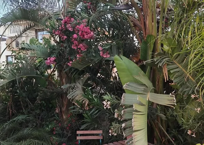 Garden Art Lägenhet