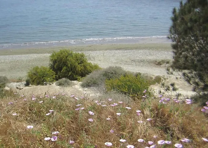 Lägenhet Garden Art